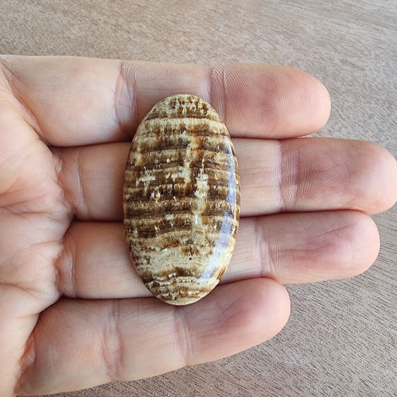 Brown Aragonite Cabochon / Pendant for jewelry making or diy craft projects 12gr