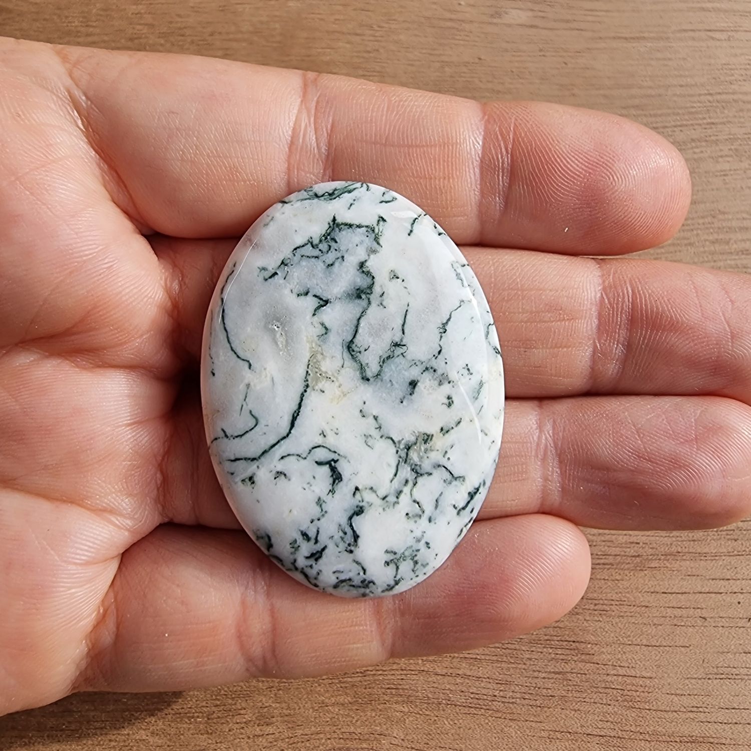 Tree Agate Cabochon / Pendant for jewelry making or diy craft projects 13.5gr