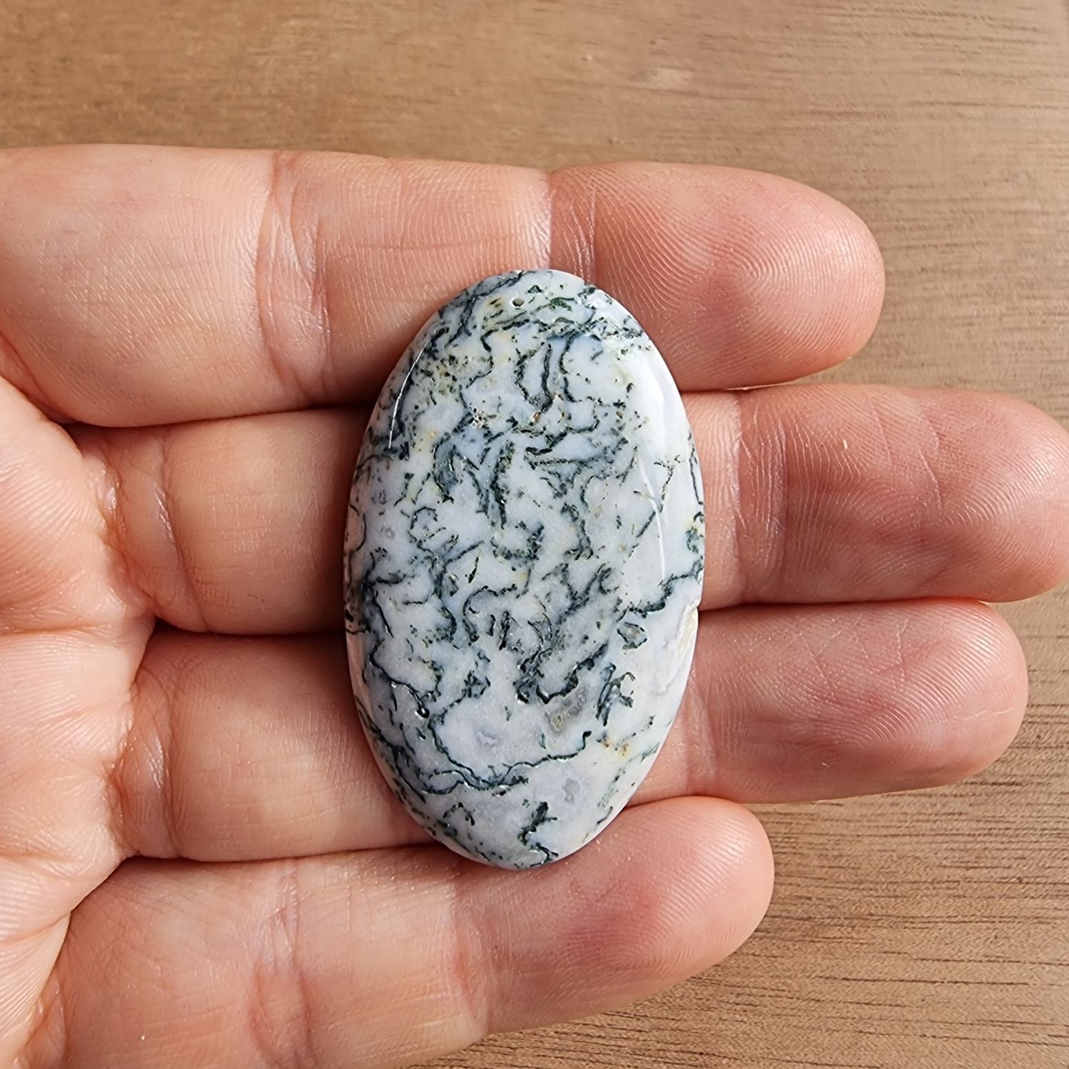 Tree Agate Cabochon / Pendant for jewelry making or diy craft projects 11.5gr