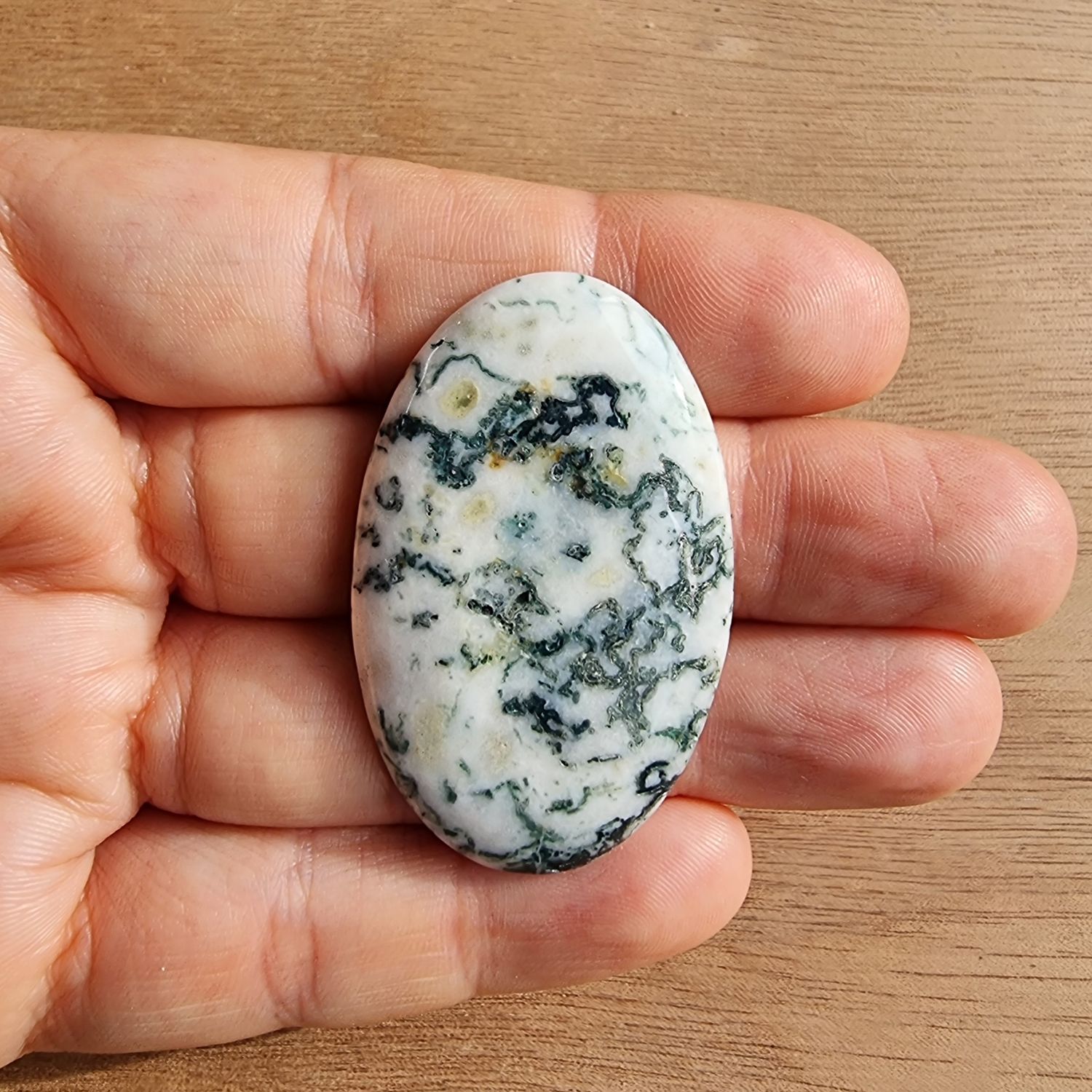 Tree Agate Cabochon / Pendant for jewelry making or diy craft projects 13.5gr