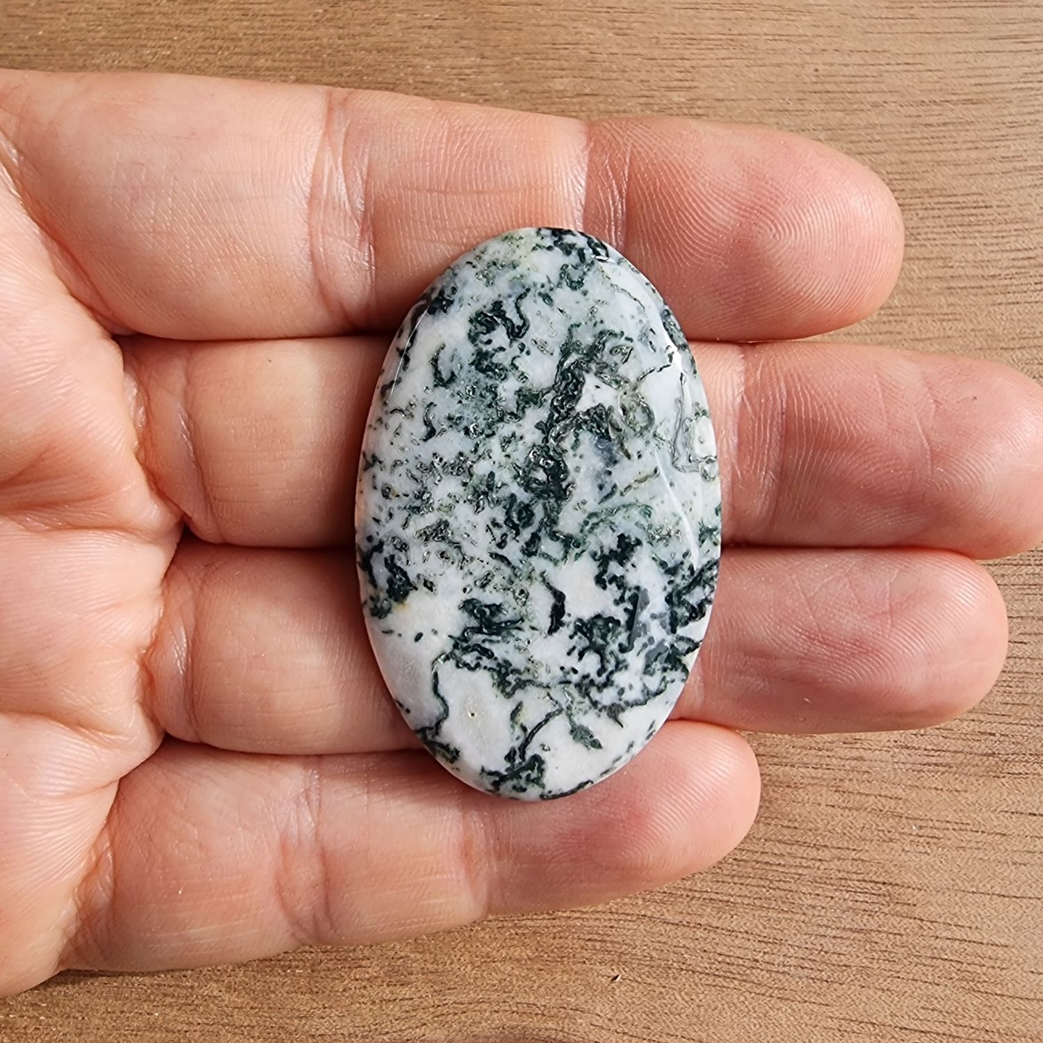 Tree Agate Cabochon / Pendant for jewelry making or diy craft projects 11.1gr