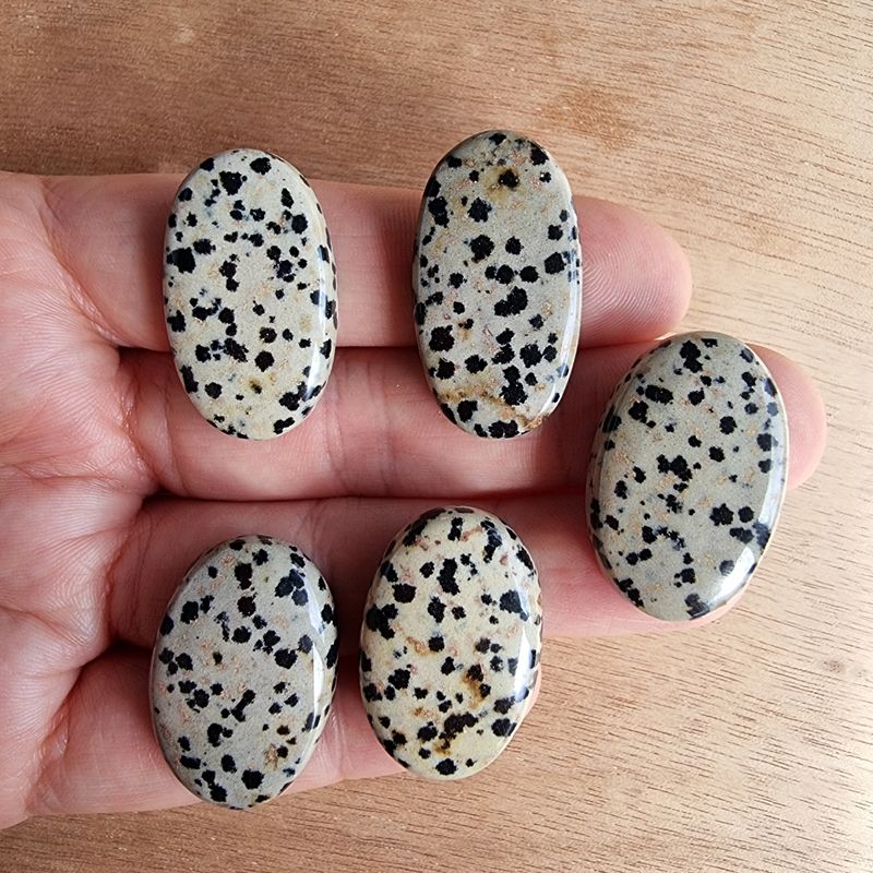 Dalmatian Jasper Cabochon Lot / Pendant Lot for jewelry making or diy craft projects 34.3gr
