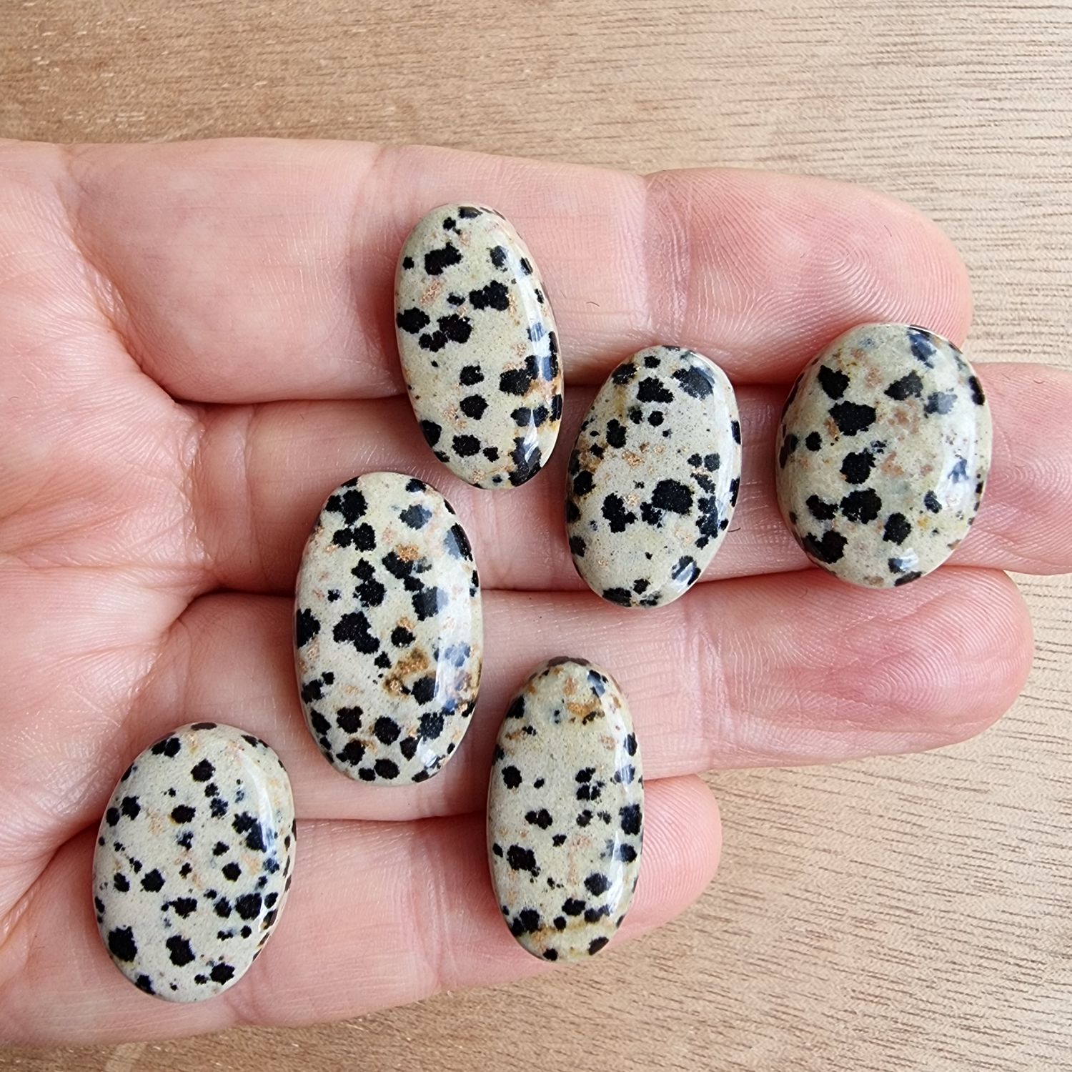 Dalmation Jasper Cabochon Lot / Pendant Lot for jewelry making or diy craft projects 18.1gr