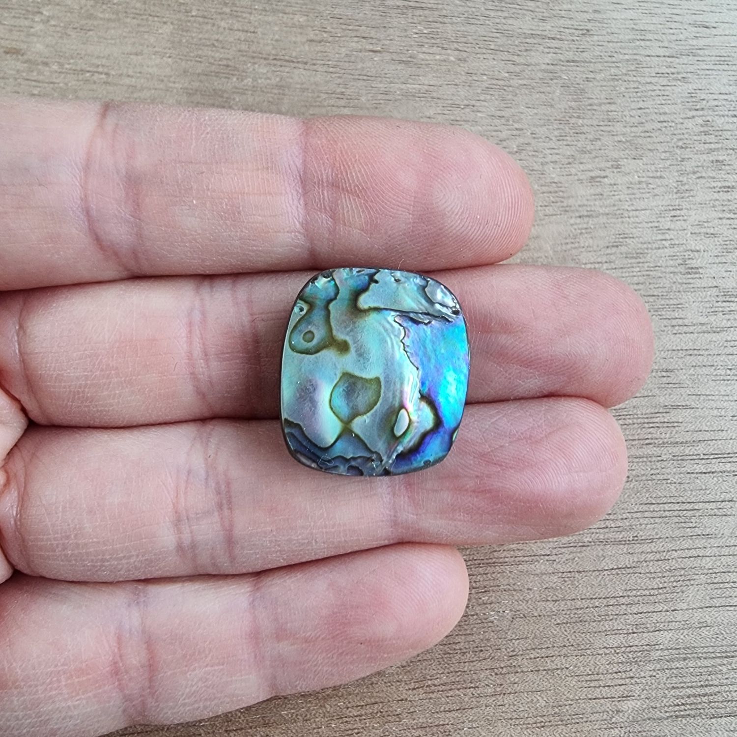 Abalone Shell Cabochon / Pendant for jewelry making or diy craft projects 6.4gr