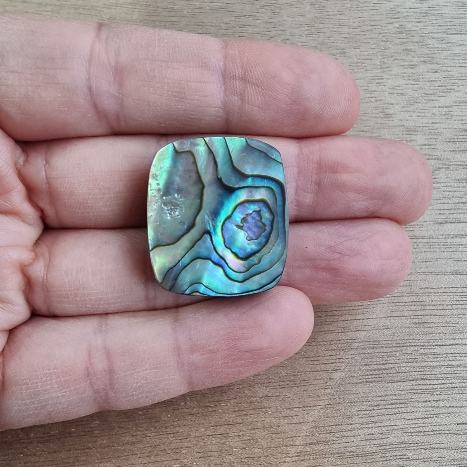 Abalone Shell Cabochon / Pendant for jewelry making or diy craft projects 10.4gr