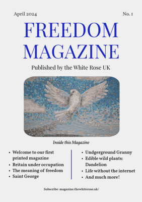 Buy Back Issues of the Freedom Magazine
