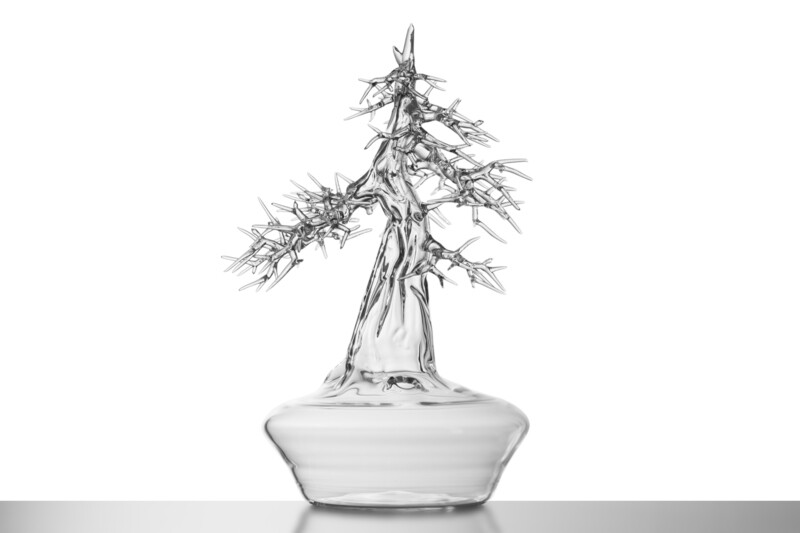 Glass Bonsai #07 - 2023