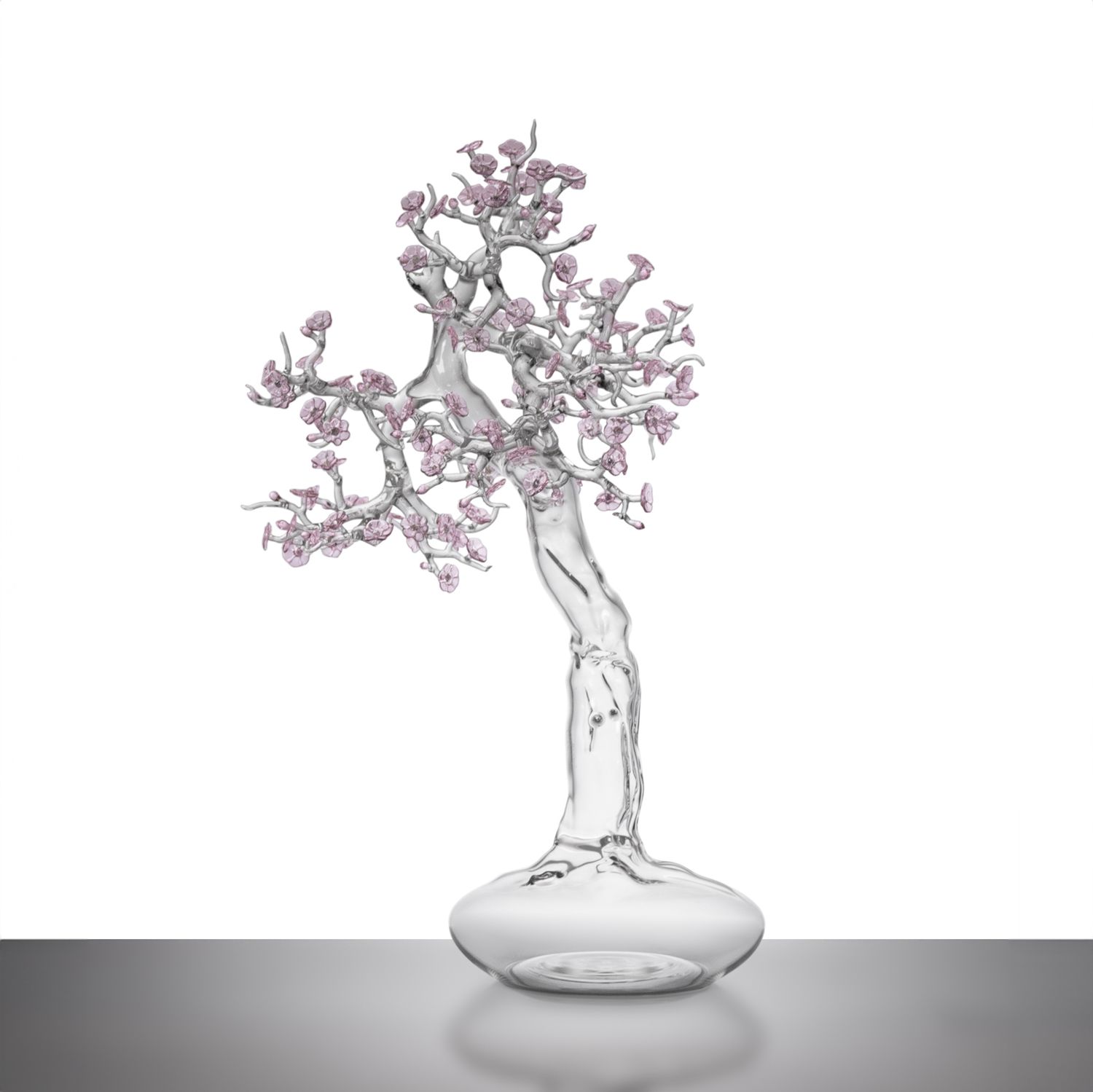 Blossom Bonsai #03 - 2023