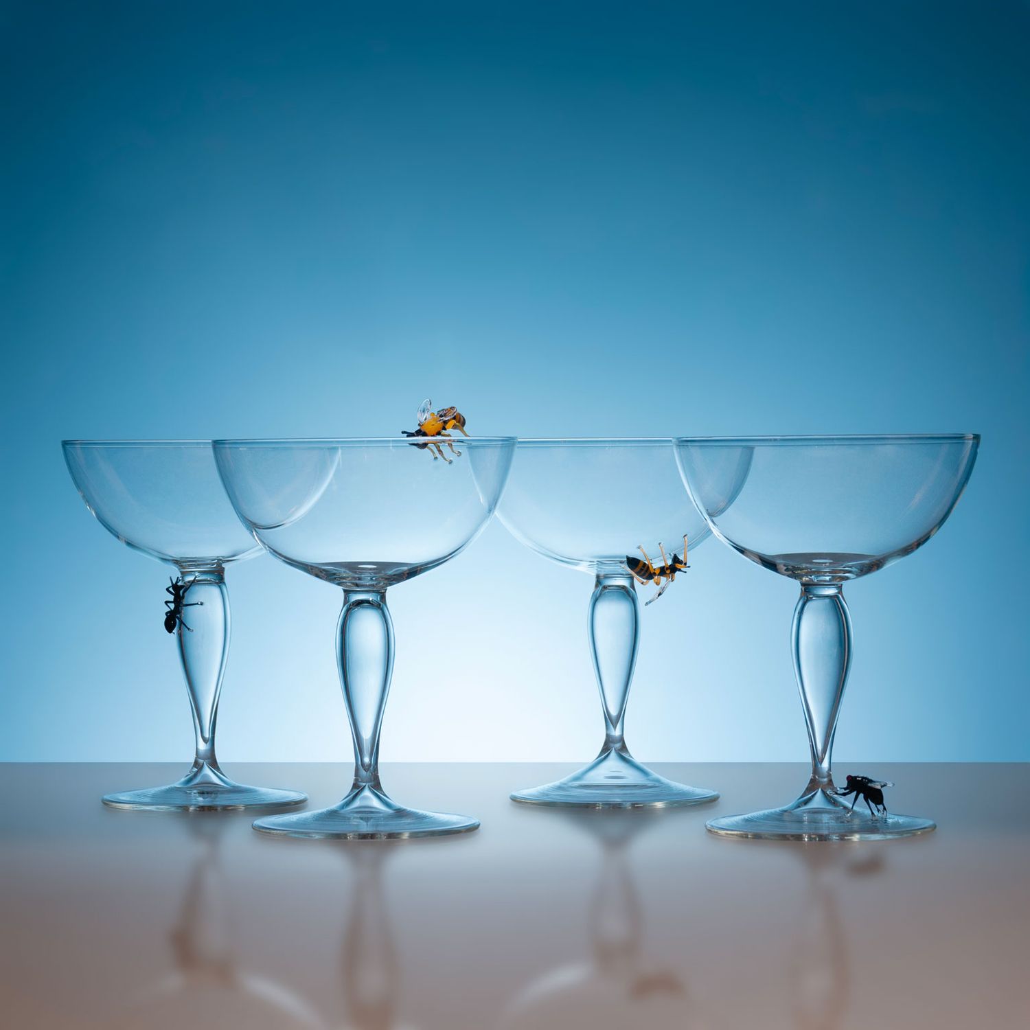 &quot;Vanitas Calices Set of Four&quot;