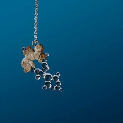 Microcosmo Pendant