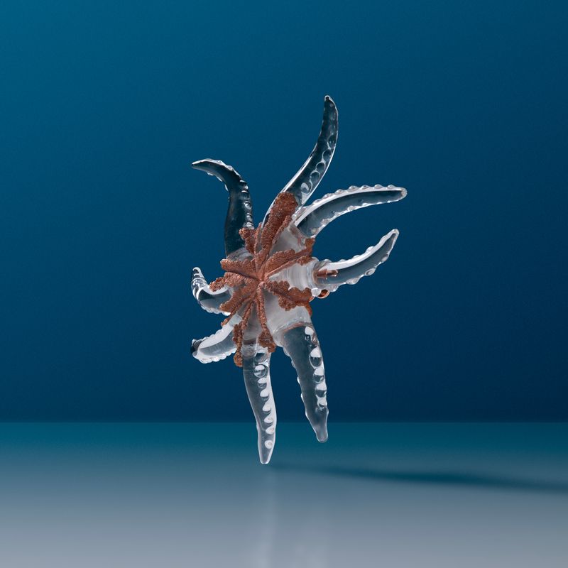 Microcosmo Large Brooch