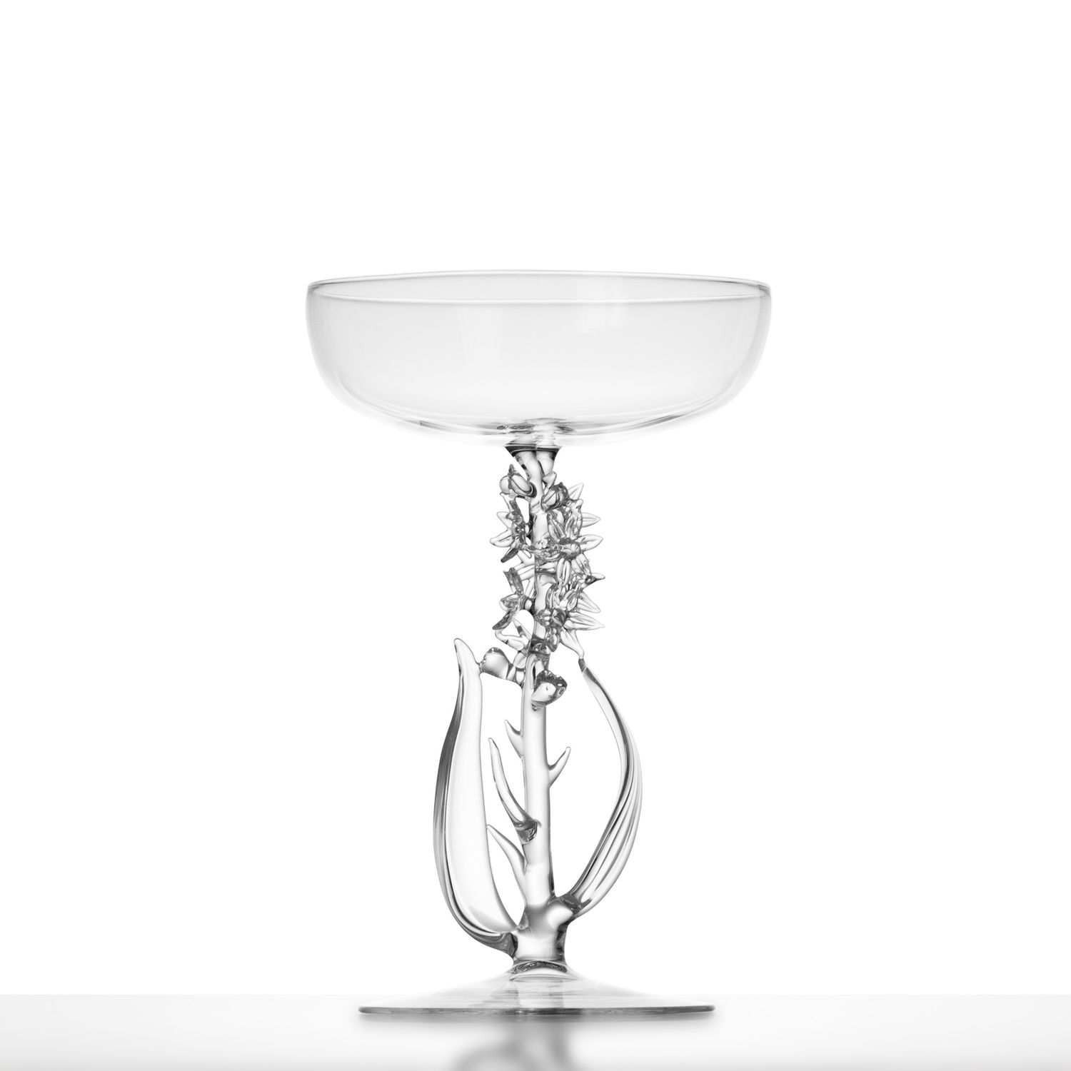 Narthecium ossifragum