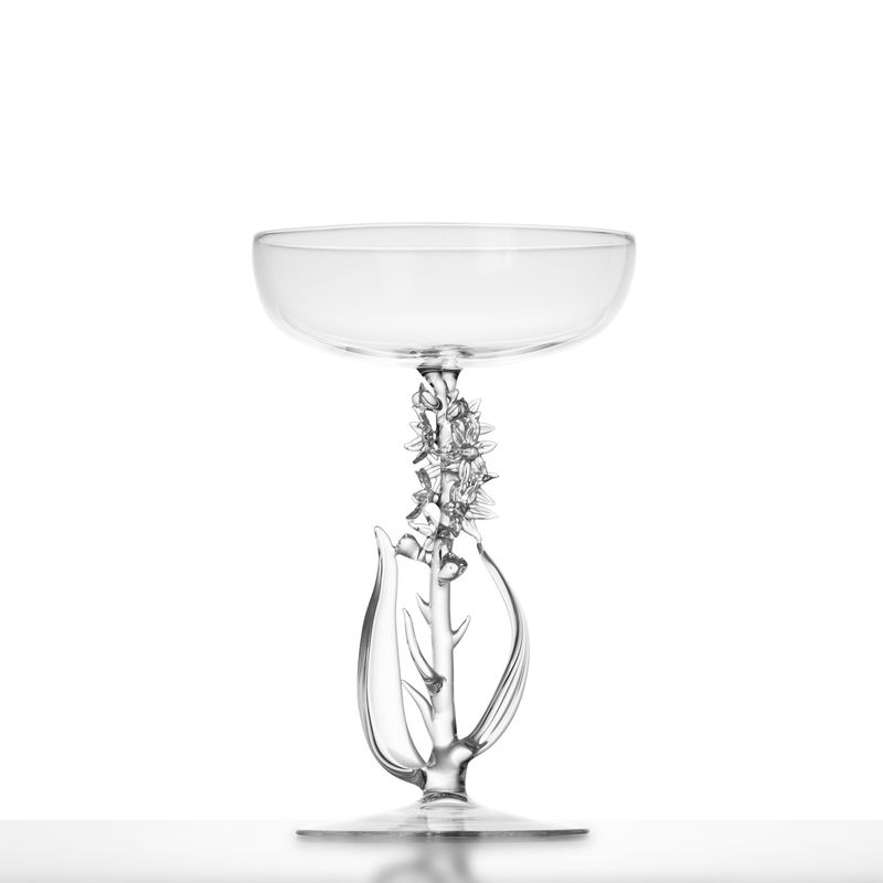 Narthecium ossifragum