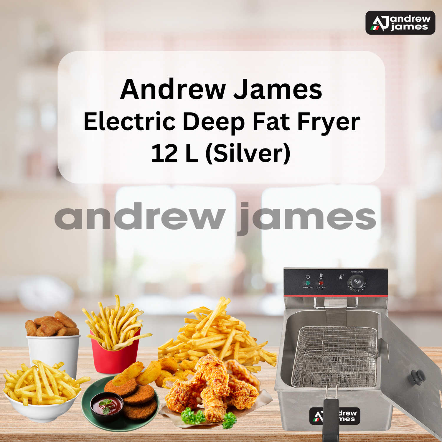  ANDREW JAMES  ELECTRIC SINGLE DEEP FRYER  12 LTR (HEAVY DUTY) 