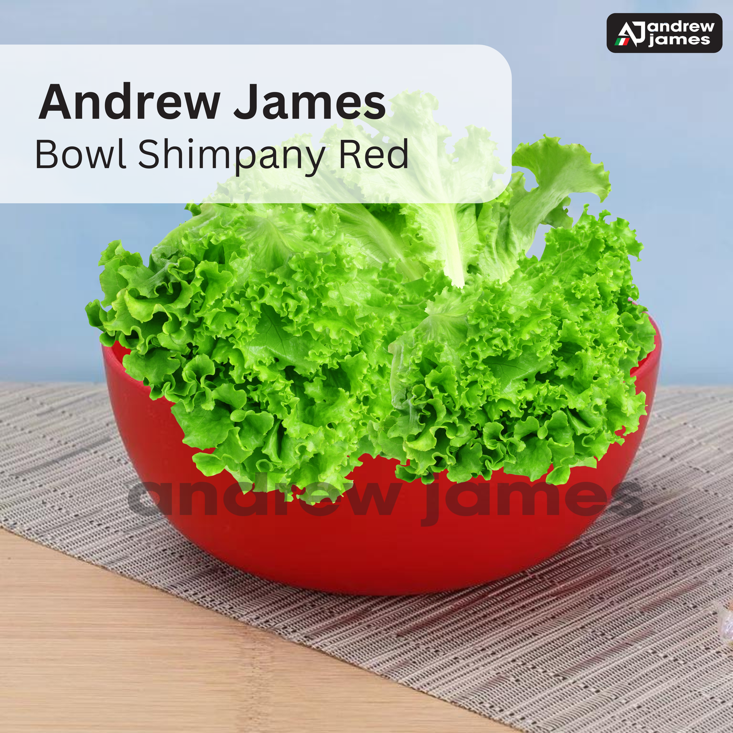 BOWL FB 02