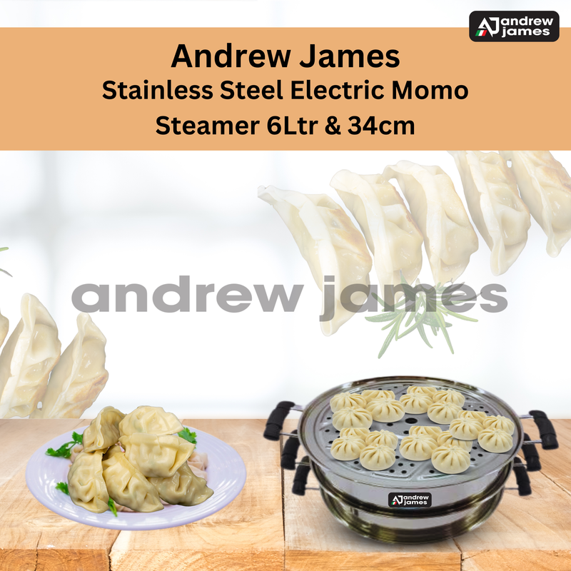 Electric Stainless Steel Steamer 11” inch 