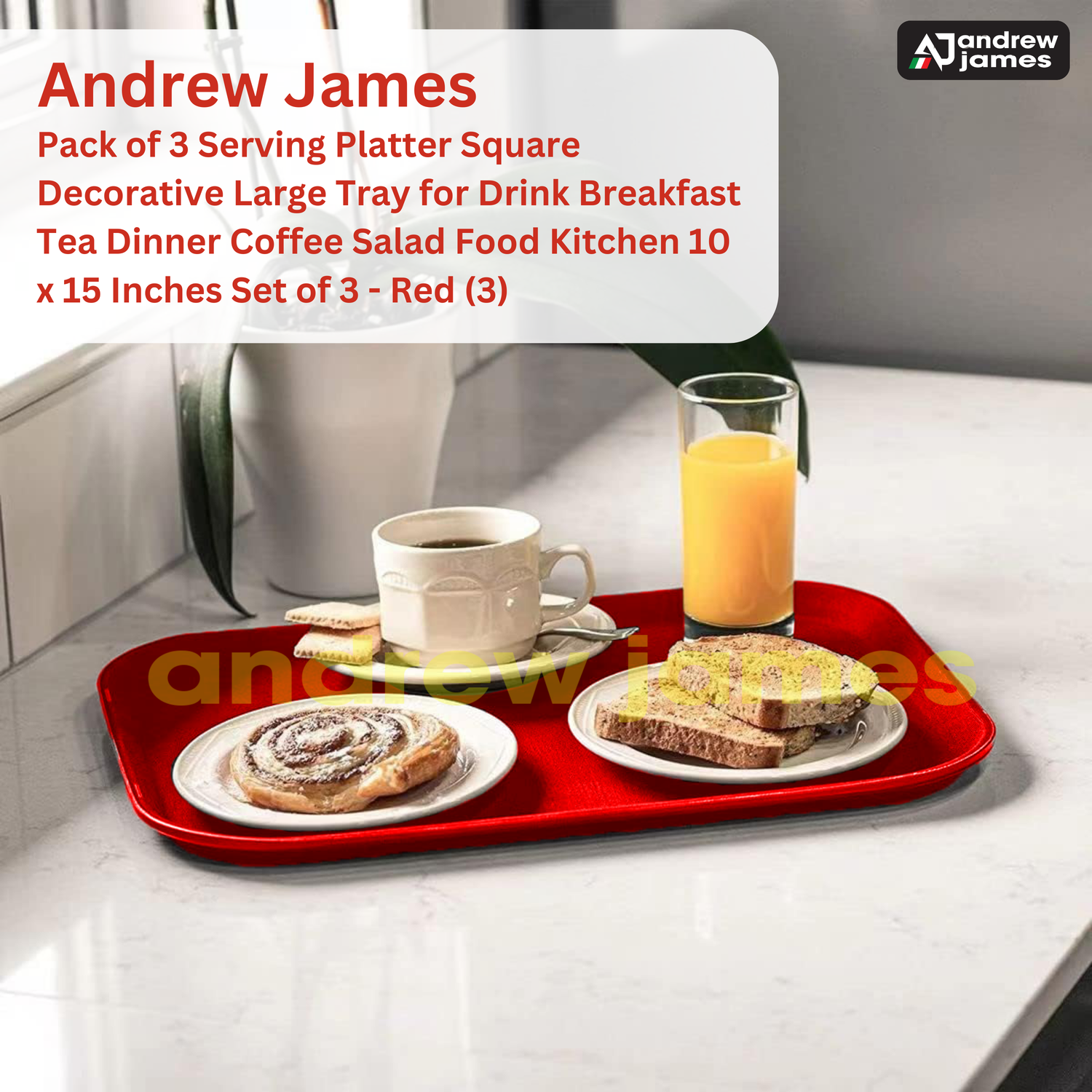 SERVICE TRAY SMALL RED