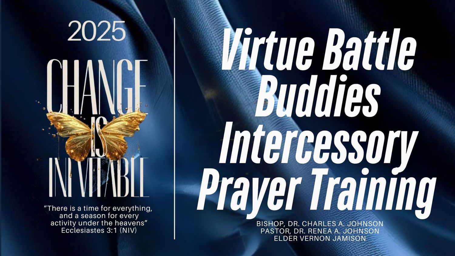 Virtue Battle Buddies Training 2025.01.25 (mp3 - download)