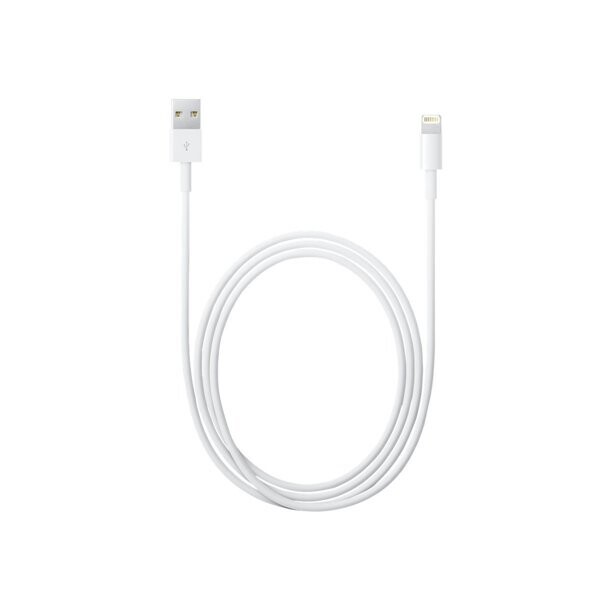 lightning Cable with Adaptor