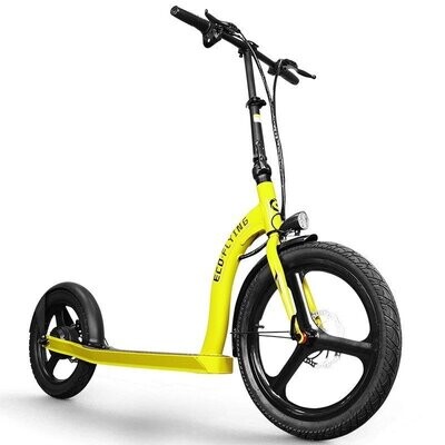 PATINETE ELÉCTRICO HI FLYING - H100