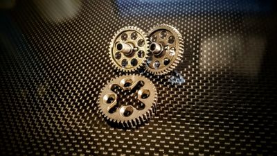 SAF Berg gears