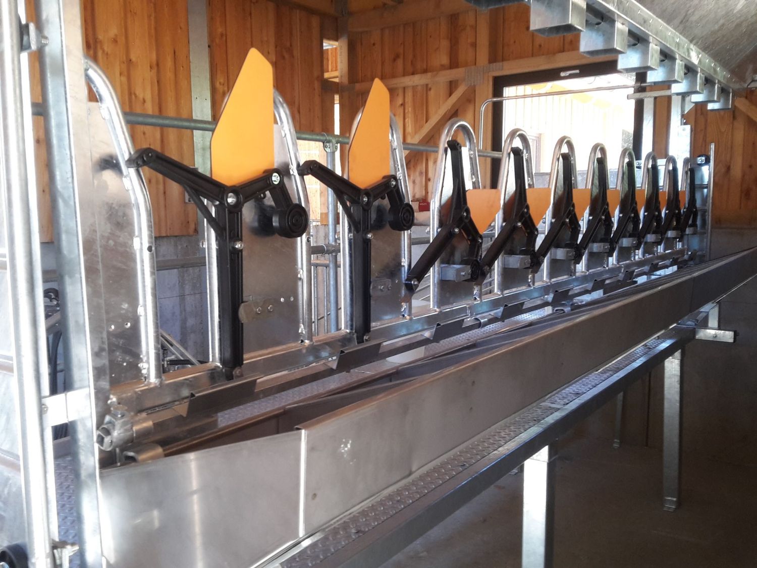 Palchetto mungitura rialzato 6 posti