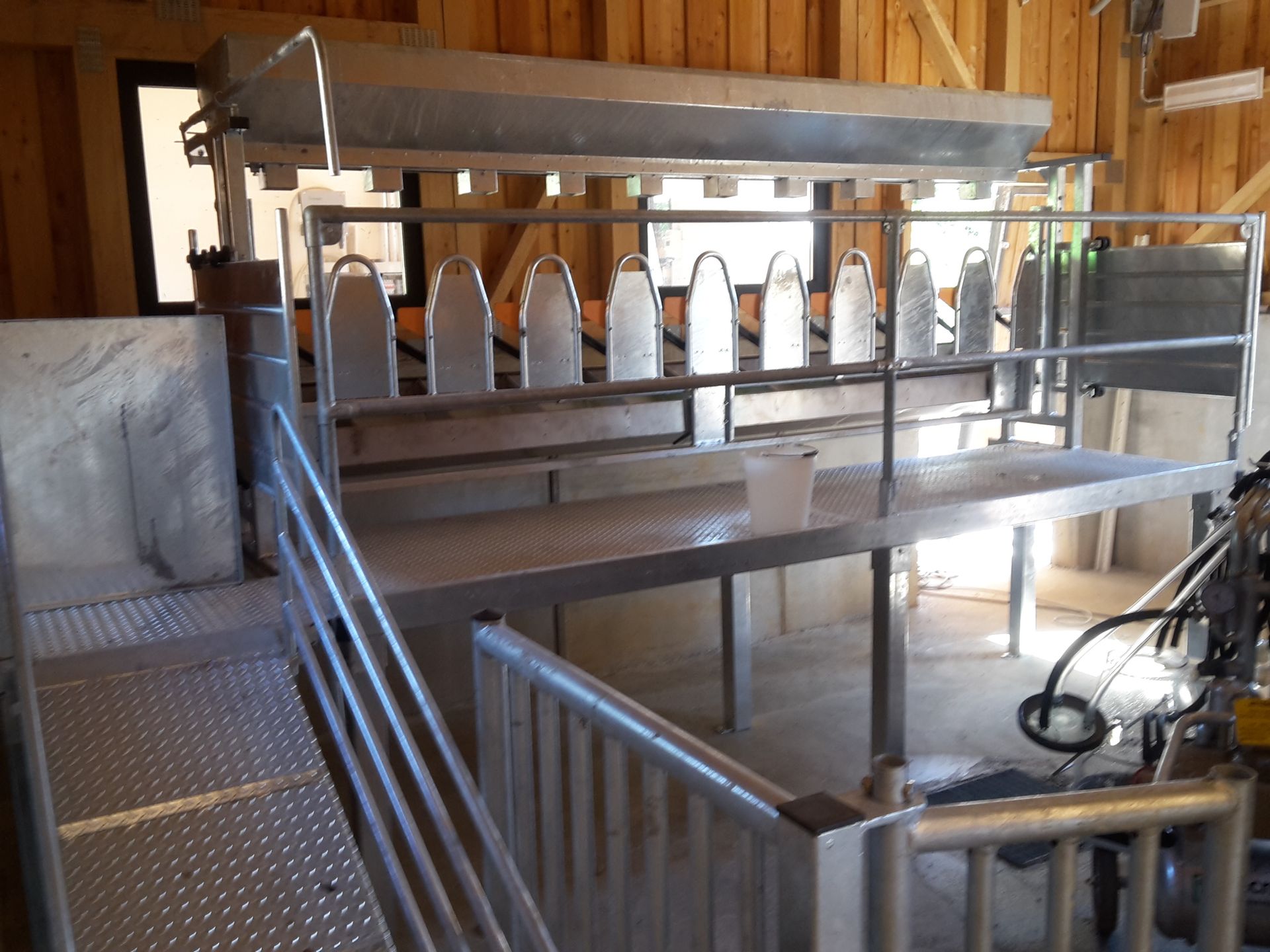 Palchetto mungitura rialzato 6 posti