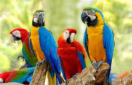 Student Group Earlybird (5 people)