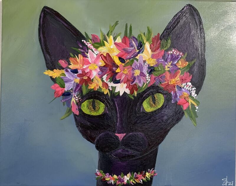 Sommer Cat