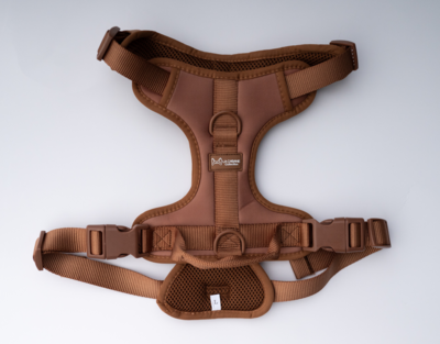 Harness, BROWN