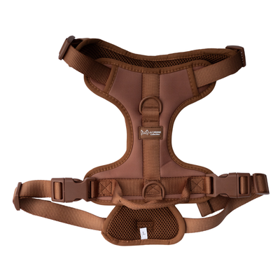 Harness