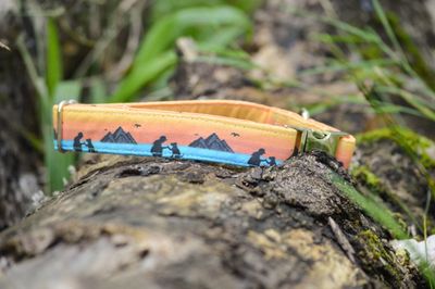 Collar, SUNSET