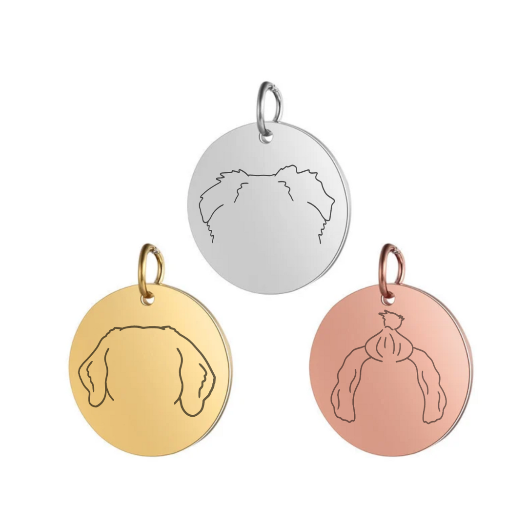 Pendant, EARS