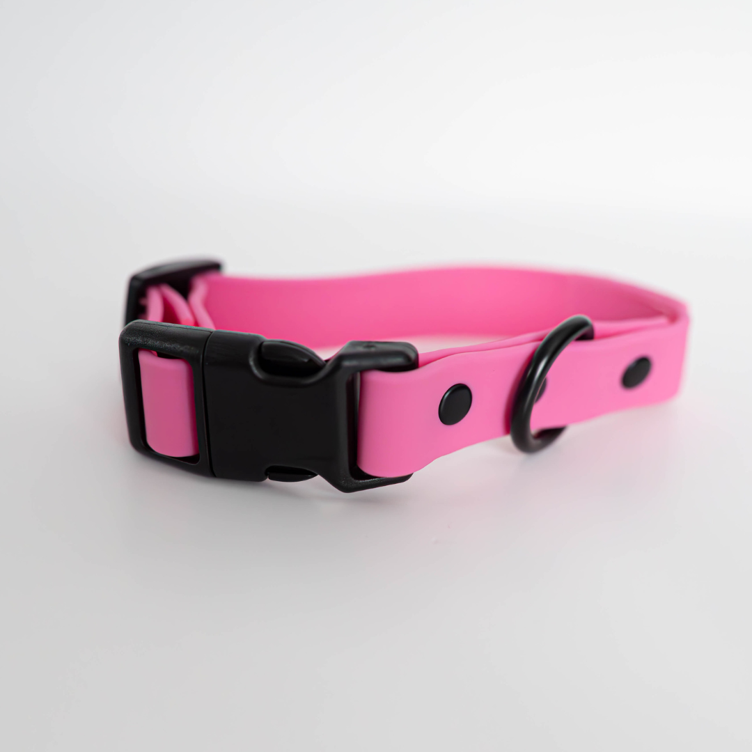 Collar - BUBBLE GUM