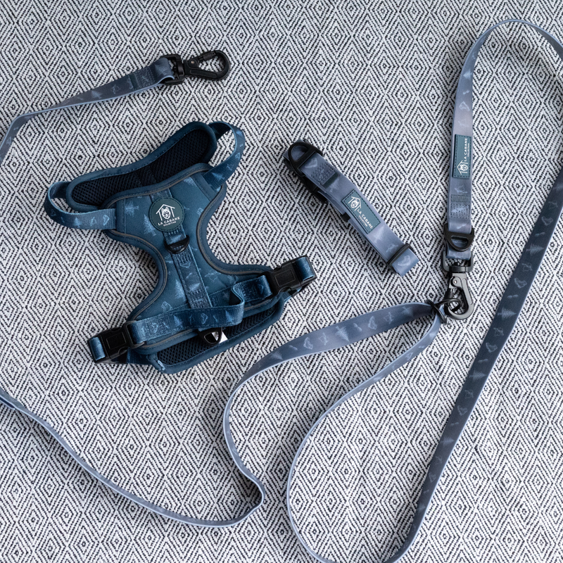 Set - ADVENTURE