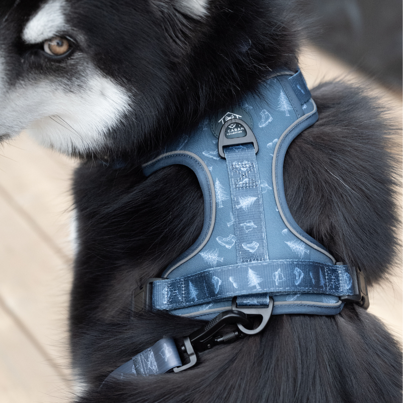 Harness - ADVENTURE