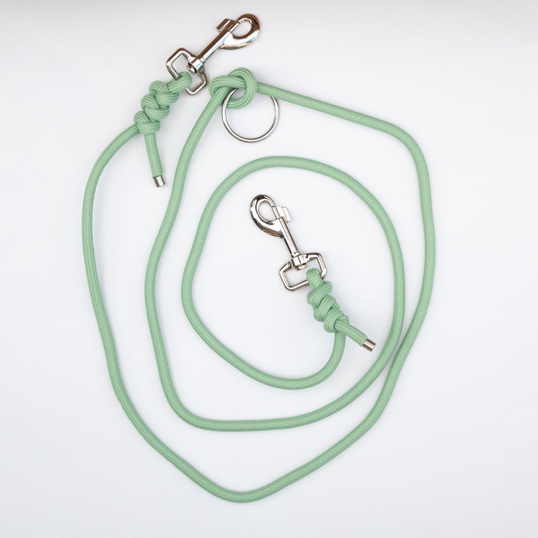 Leash - GREEN (small and medium dog)