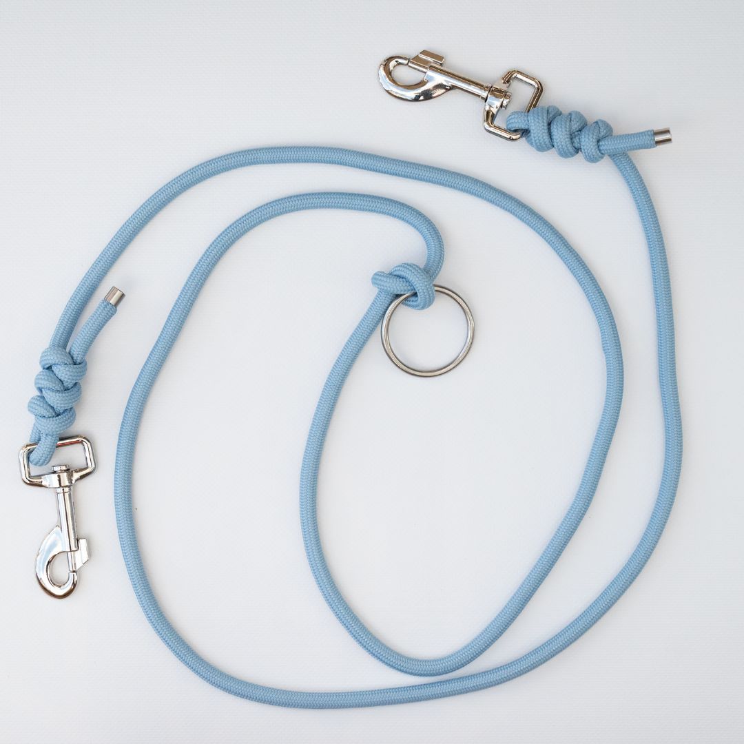 Leash - BLUE (small and medium dog)