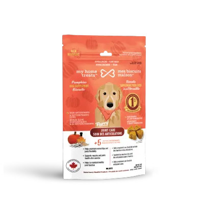 Joints dog supplement with pumpkins - 170g