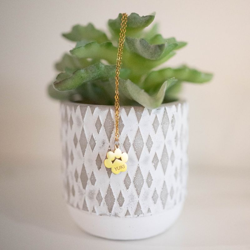 Stainless steel chain and pendant, ENGRAVED DOG PAW SHAPE