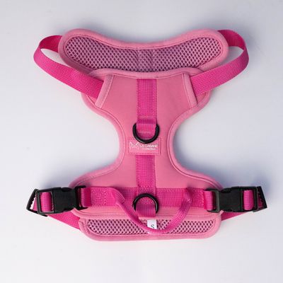 Harness - BUBBLE GUM