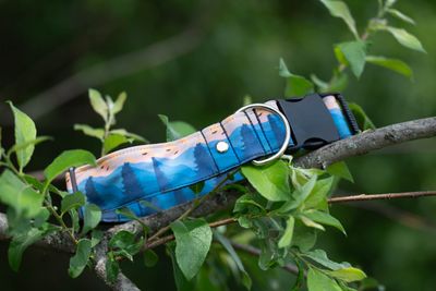 Collier, FORÊT BLEUE