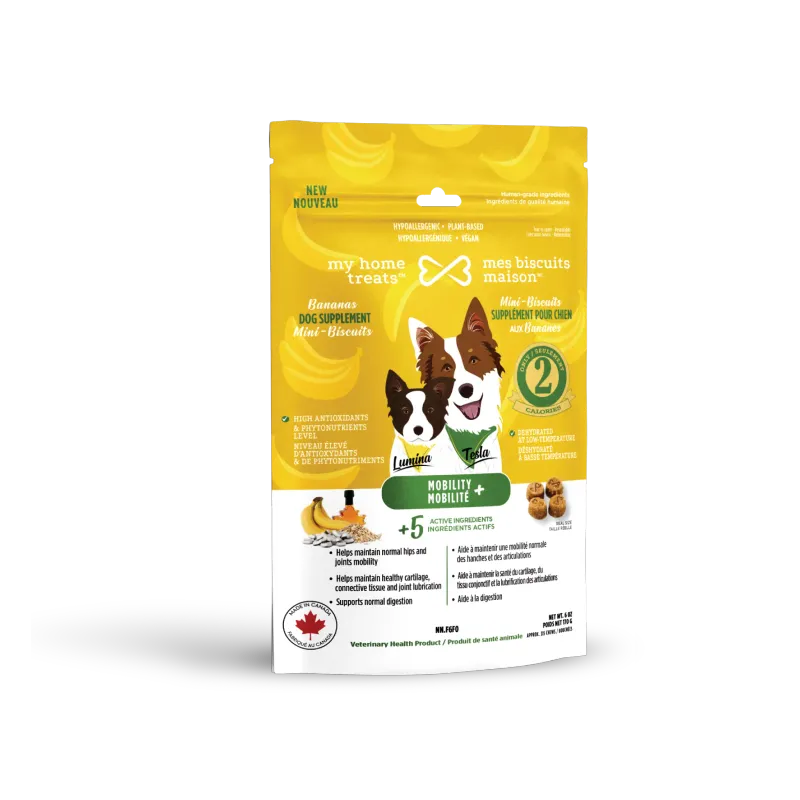 Supplément mobilité pour chien aux bananes - 170g