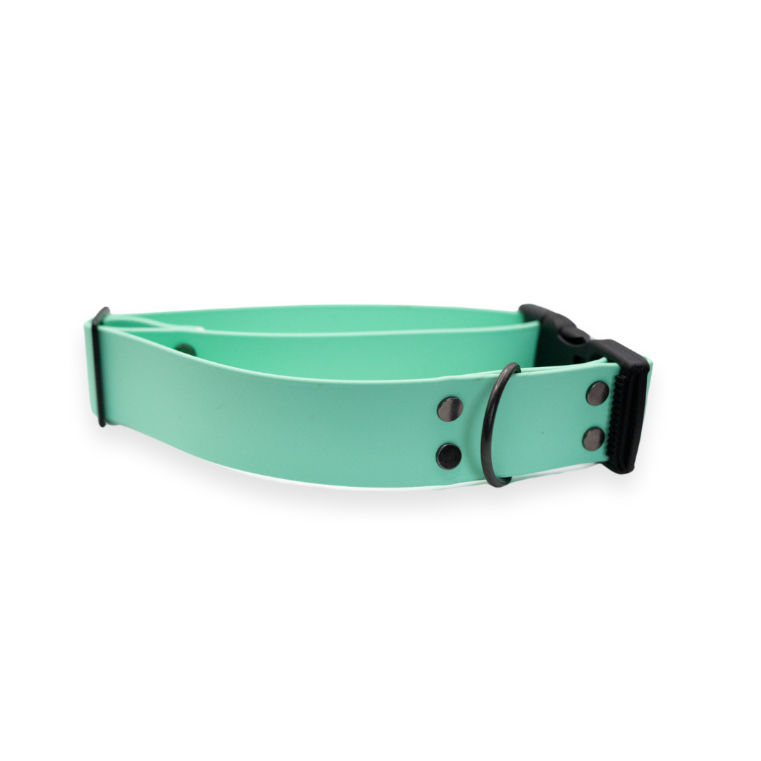 Collier attache rapide 1.5" - ÉCUME DE MER