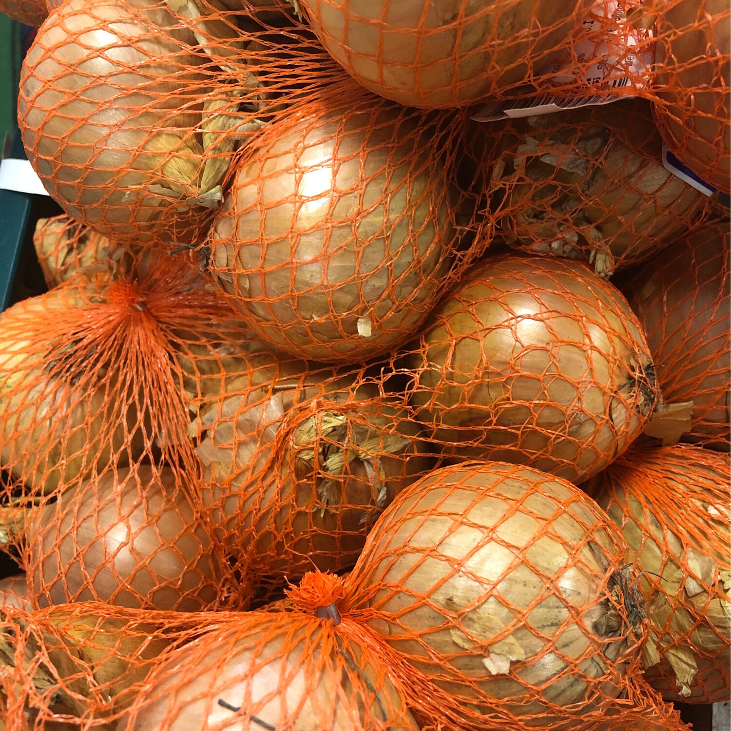 Prepacked Onions in Net