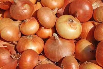 Loose Spanish Onions (500G)