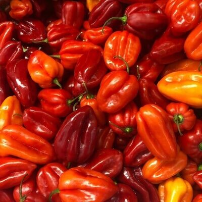 Habanero Chilli Peppers (100G)