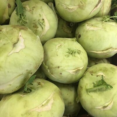 Kohlrabi