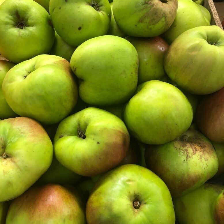 Cooking Apples (1KG)