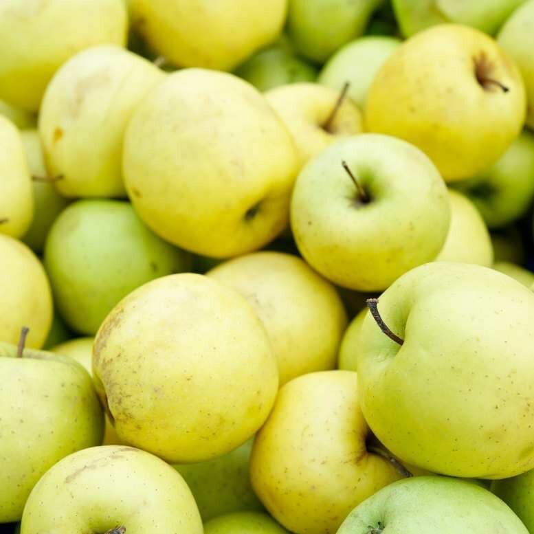 6 Golden Delicious Apples